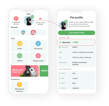 App